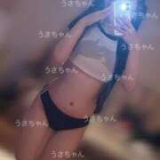 ヒメ日記 2025/08/17 19:46 投稿 うさぎ 隣の奥様 佐久店