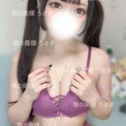 ヒメ日記 2025/08/19 00:13 投稿 うさぎ 隣の奥様 佐久店