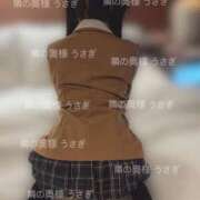 ヒメ日記 2025/08/19 10:07 投稿 うさぎ 隣の奥様 佐久店