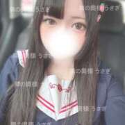 ヒメ日記 2025/08/19 19:03 投稿 うさぎ 隣の奥様 佐久店