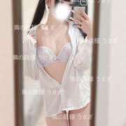 ヒメ日記 2025/08/20 10:14 投稿 うさぎ 隣の奥様 佐久店