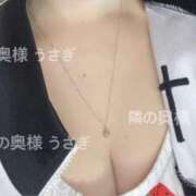 ヒメ日記 2025/10/01 16:19 投稿 うさぎ 隣の奥様 佐久店