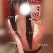 ヒメ日記 2025/10/02 15:53 投稿 うさぎ 隣の奥様 佐久店