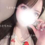 ヒメ日記 2025/10/03 01:31 投稿 うさぎ 隣の奥様 佐久店