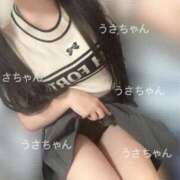 ヒメ日記 2025/10/03 14:23 投稿 うさぎ 隣の奥様 佐久店