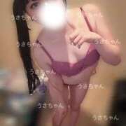 ヒメ日記 2025/10/03 21:13 投稿 うさぎ 隣の奥様 佐久店