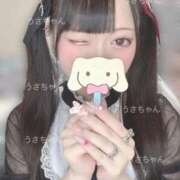 ヒメ日記 2025/10/04 21:33 投稿 うさぎ 隣の奥様 佐久店