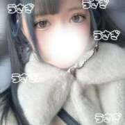 ヒメ日記 2025/12/03 13:11 投稿 うさぎ 隣の奥様 佐久店