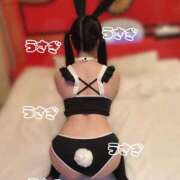 ヒメ日記 2025/12/04 01:16 投稿 うさぎ 隣の奥様 佐久店