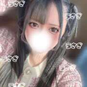 ヒメ日記 2025/12/04 12:18 投稿 うさぎ 隣の奥様 佐久店