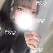 ヒメ日記 2025/12/05 14:09 投稿 うさぎ 隣の奥様 佐久店