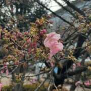 ヒメ日記 2025/02/19 23:33 投稿 りお 川崎・東横人妻城