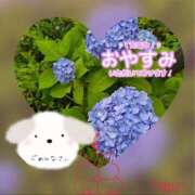 ヒメ日記 2025/03/06 12:23 投稿 りお 川崎・東横人妻城