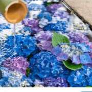 ヒメ日記 2025/06/04 22:12 投稿 りお 川崎・東横人妻城