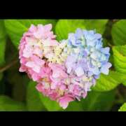 ヒメ日記 2025/06/09 23:03 投稿 りお 川崎・東横人妻城