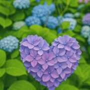 ヒメ日記 2025/07/01 19:42 投稿 りお 川崎・東横人妻城