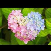 ヒメ日記 2025/07/05 11:36 投稿 りお 川崎・東横人妻城