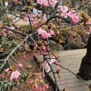 ヒメ日記 2026/02/28 08:35 投稿 りお 川崎・東横人妻城