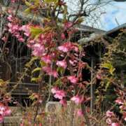 ヒメ日記 2026/03/07 07:36 投稿 りお 川崎・東横人妻城