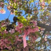 ヒメ日記 2026/03/27 10:36 投稿 りお 川崎・東横人妻城