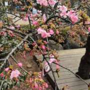 ヒメ日記 2026/03/28 13:42 投稿 りお 川崎・東横人妻城