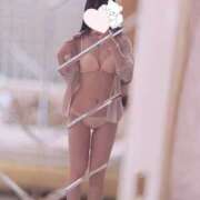 ヒメ日記 2025/04/11 07:33 投稿 白金すず 厚木OL委員会