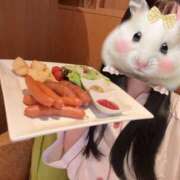 ヒメ日記 2025/06/12 21:03 投稿 白金すず 厚木OL委員会