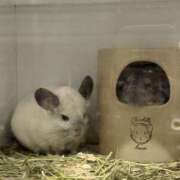 ヒメ日記 2025/11/28 13:23 投稿 白金すず 厚木OL委員会