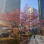 まりあ ふとした瞬間に。。。 THE ESUTE 渋谷