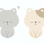 ヒメ日記 2025/06/22 19:56 投稿 ゆな Lesson.1 水戸校