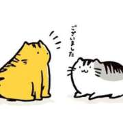 ヒメ日記 2025/09/10 20:46 投稿 ゆな Lesson.1 水戸校