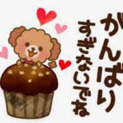 ヒメ日記 2025/12/18 21:00 投稿 ゆな Lesson.1 水戸校