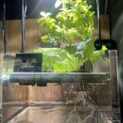 ヒメ日記 2025/10/04 12:15 投稿 じゅん パンドラ(上野)