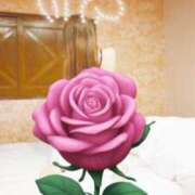 ヒメ日記 2025/03/26 17:15 投稿 川口あやみ こあくまな熟女たち岩国店(KOAKUMAグループ)