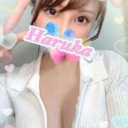 ヒメ日記 2025/12/02 15:34 投稿 遥 秘書室(吉原)