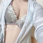 ヒメ日記 2026/02/23 15:04 投稿 せりな PHANTOM(ファントム)