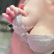 ヒメ日記 2026/05/10 03:33 投稿 せりな PHANTOM(ファントム)