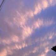 ヒメ日記 2025/05/02 03:37 投稿 歌里 ありさ Canx2京都店