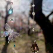 ヒメ日記 2026/03/06 19:12 投稿 歌里 ありさ Canx2京都店