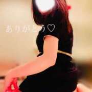 ヒメ日記 2025/04/03 02:18 投稿 さつき 東京妻