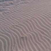 ヒメ日記 2025/05/26 23:54 投稿 さつき 東京妻