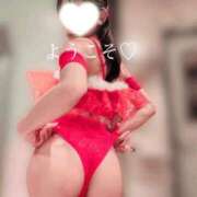 ヒメ日記 2025/12/29 07:48 投稿 さつき 東京妻