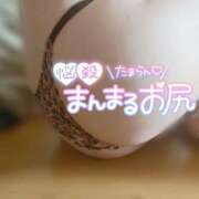 ヒメ日記 2024/12/13 13:47 投稿 水沢　みほ ギン妻パラダイス 谷九店