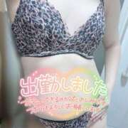 ヒメ日記 2025/09/26 09:47 投稿 水沢　みほ ギン妻パラダイス 谷九店