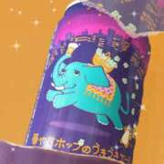 ヒメ日記 2025/01/05 10:30 投稿 うみ姫 螢