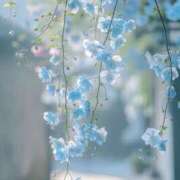 ヒメ日記 2025/02/20 08:04 投稿 うみ姫 螢