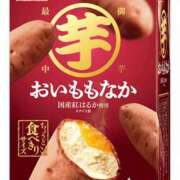 ヒメ日記 2025/03/19 08:00 投稿 うみ姫 螢