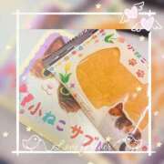 ヒメ日記 2025/04/09 16:30 投稿 うみ姫 螢