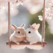 ヒメ日記 2025/04/10 08:49 投稿 うみ姫 螢