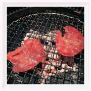 ヒメ日記 2025/04/16 20:00 投稿 うみ姫 螢